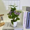 Flower Artificial Jasmine Potted Plant With Rain Flower Stone For Decor Interior