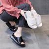 Wedge Heel Slippers Women's Platform Fashion Outer Wear 2024 Summer Internet Celebrity New Fish Mouth High Heels Soft Leather Sandals Tide