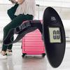 Hanging Luggage Scale Handheld Digital 100g/40kg Baggage Scale Weight Scale
