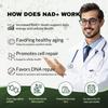 Windboss NAD+ Липосомальный NR 900 мг с Кверцетином, Транс-ресвератролом и NMN - Усиленная Энергия и Концентрация N01