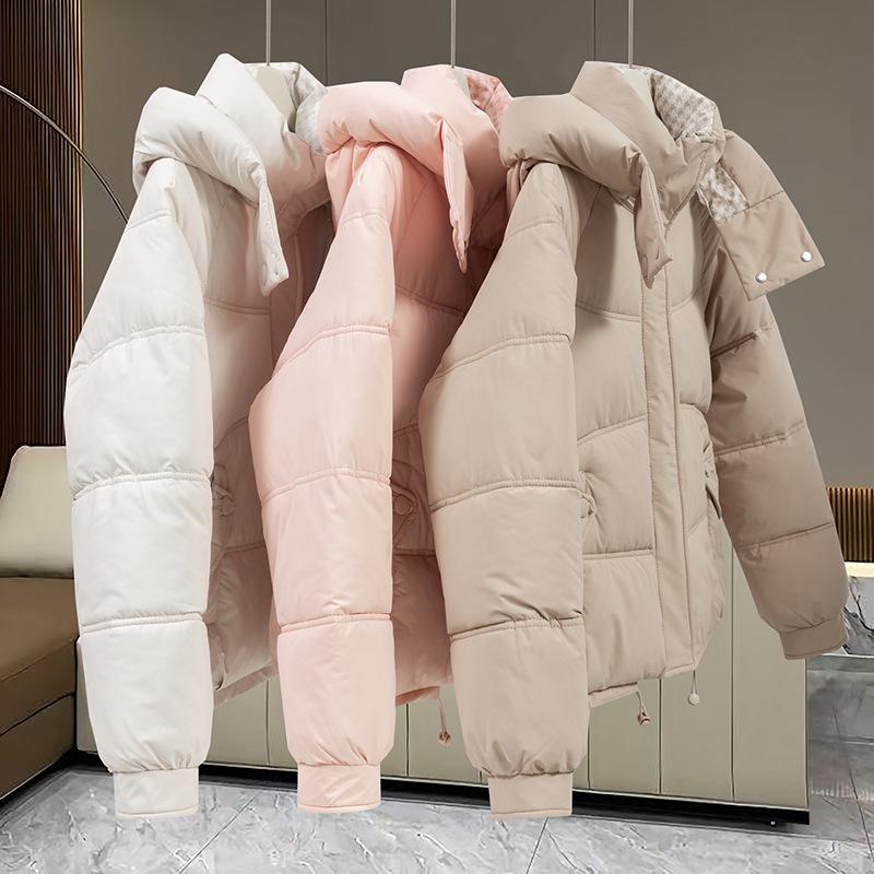 Winter new clothes, clothes, hooded and versatile, fashionable women's loose and simple jackets