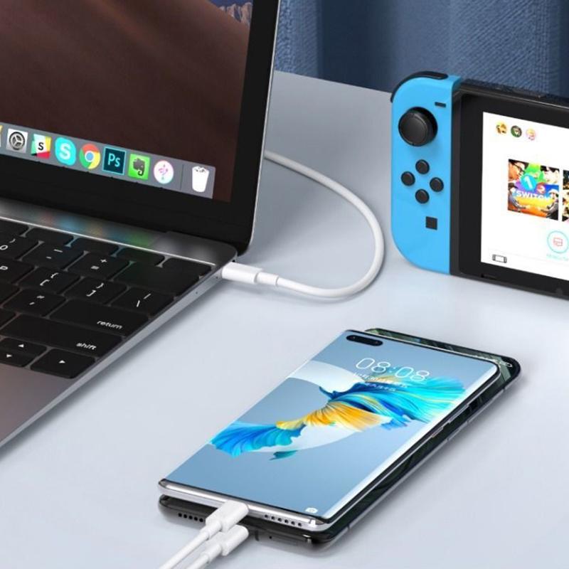 Universal 120W10A Fast Charging Cable Dual Type-C High-Speed Data Transfer Cable Quick Charging Cable 0.25M/1M/1.5M/2M/3M