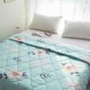 Mu Xin Zi Skin-Friendly Velvet Summer Quilt