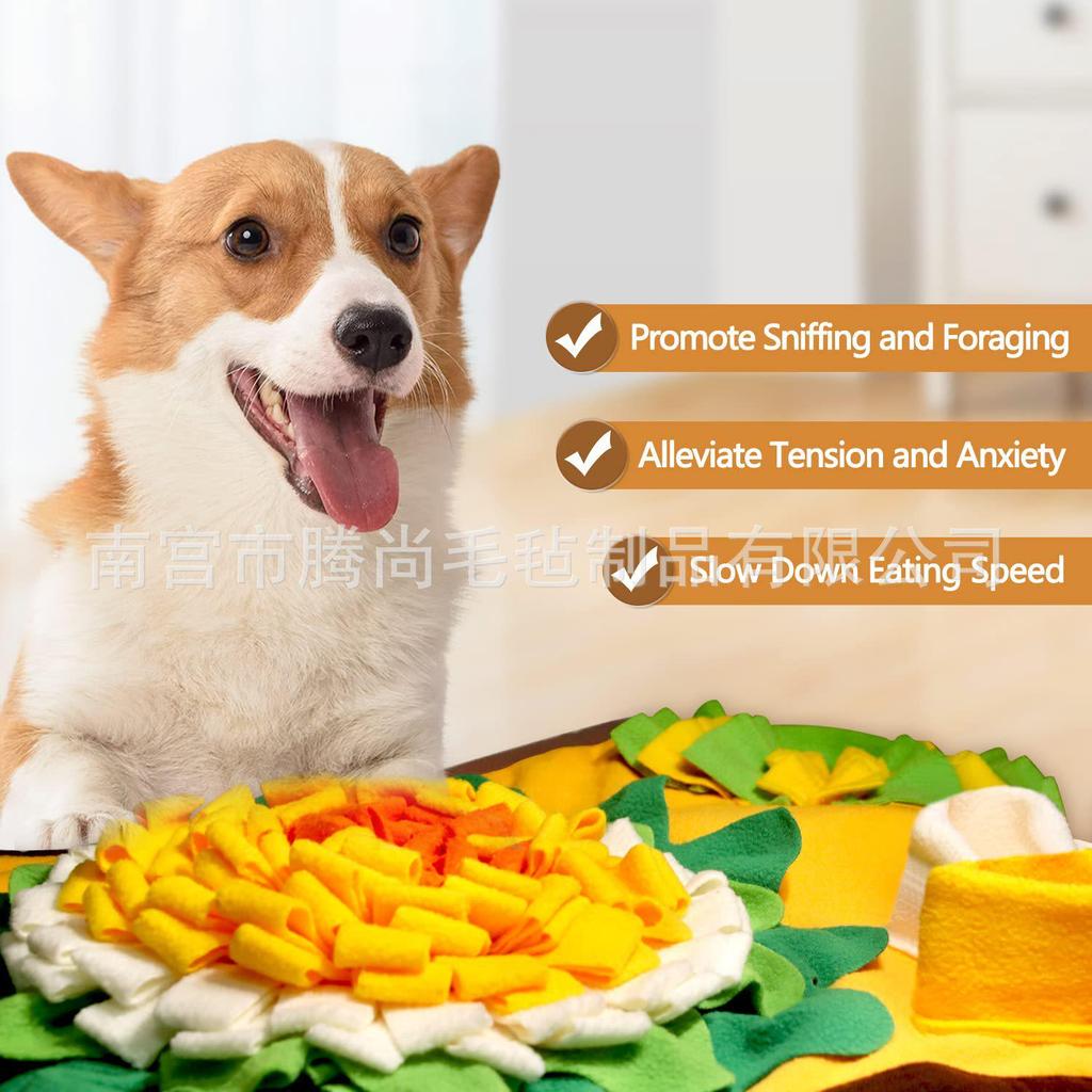 Dog Sniffing Mat: Brain Training & Slow Feeder for Pets
