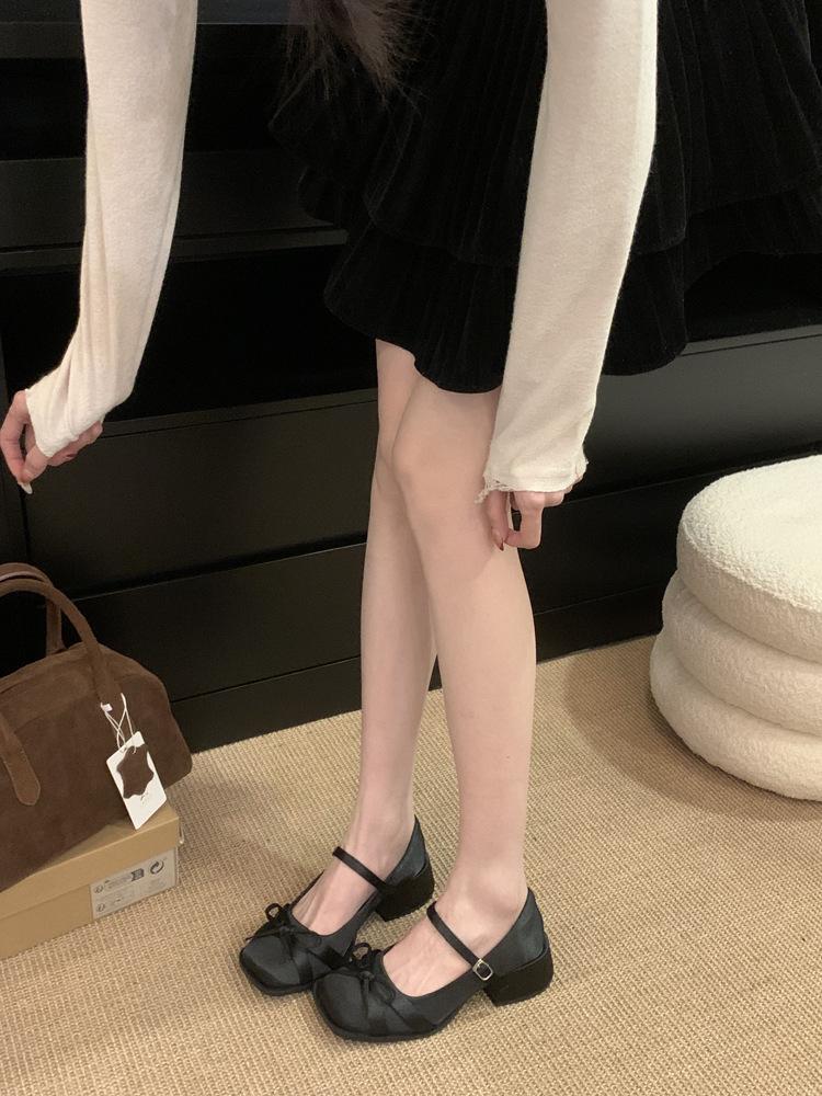 Mary Jane Thick Heel Single Shoes Women's 2025 Spring New with Skirt French Word with Fairy Style Temperament Small Leather Shoes