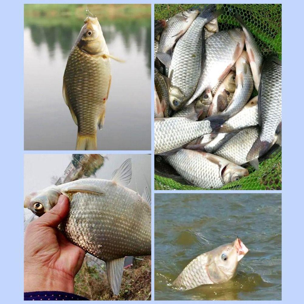 Led LED Electronic Fishing Float Glowing Electric Fishing  Bobber  Sea Fishing Accessories