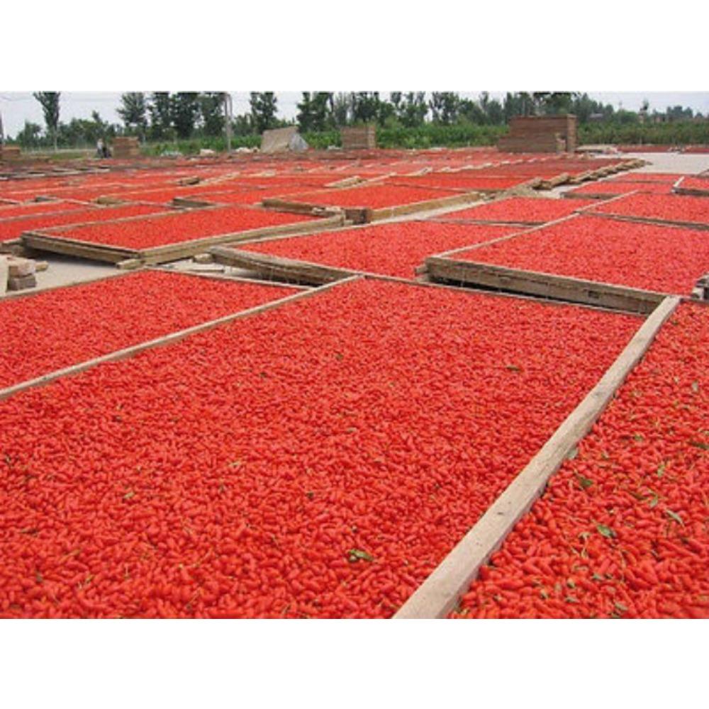 250g Dried Goji Berries Nespera Wolfberry Organic Chinese Gouqi Herbal Tea