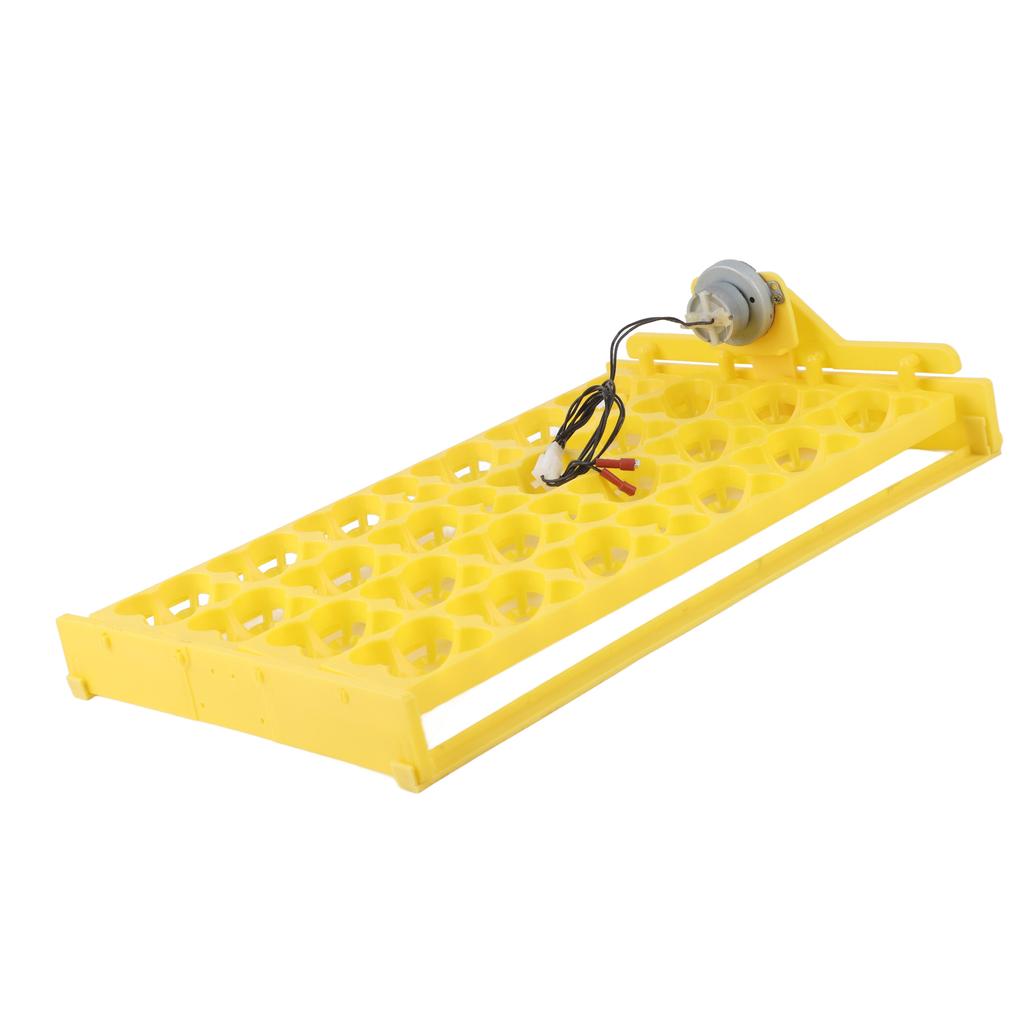 Egg Incubator Egg Tray Small 24 Eggs Four Leaf Flower Automatic Turning Egg Incubator Egg Tray110V