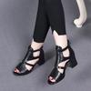 Hollow-heeled Square Roman Sandals Women Foreign Trade Thick-heeled Open-toed Fishbeak Buckled Sandals