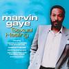 CD МАРВИН ГЕЙ Sexual Healing CD6047 Музыка Цифровой 1996 Европа SoulFunk Б/у