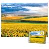 Пазл из 2000 деталей - закат на прекрасном поле подсолнечников, популярная корейская головоломка