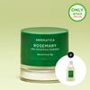 AROMATICA Розмарин Сухой шампунь-пудра 10 г Набор (+Шампунь с розмарином 100 мл)