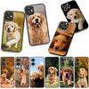 Phone Cover Golden Retriever Dog Pet Casing for Xiaomi Redmi Note 15 11 9 10 Pro Plus A5 9A 9T 10A 10C 9C NFC 15C 8T Case