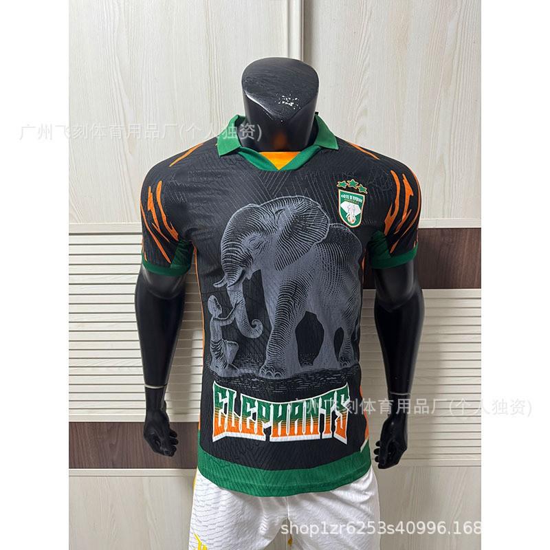 2026 Africa Cup National Team Fan Jersey Football Training Shirt Men Women Sports Running