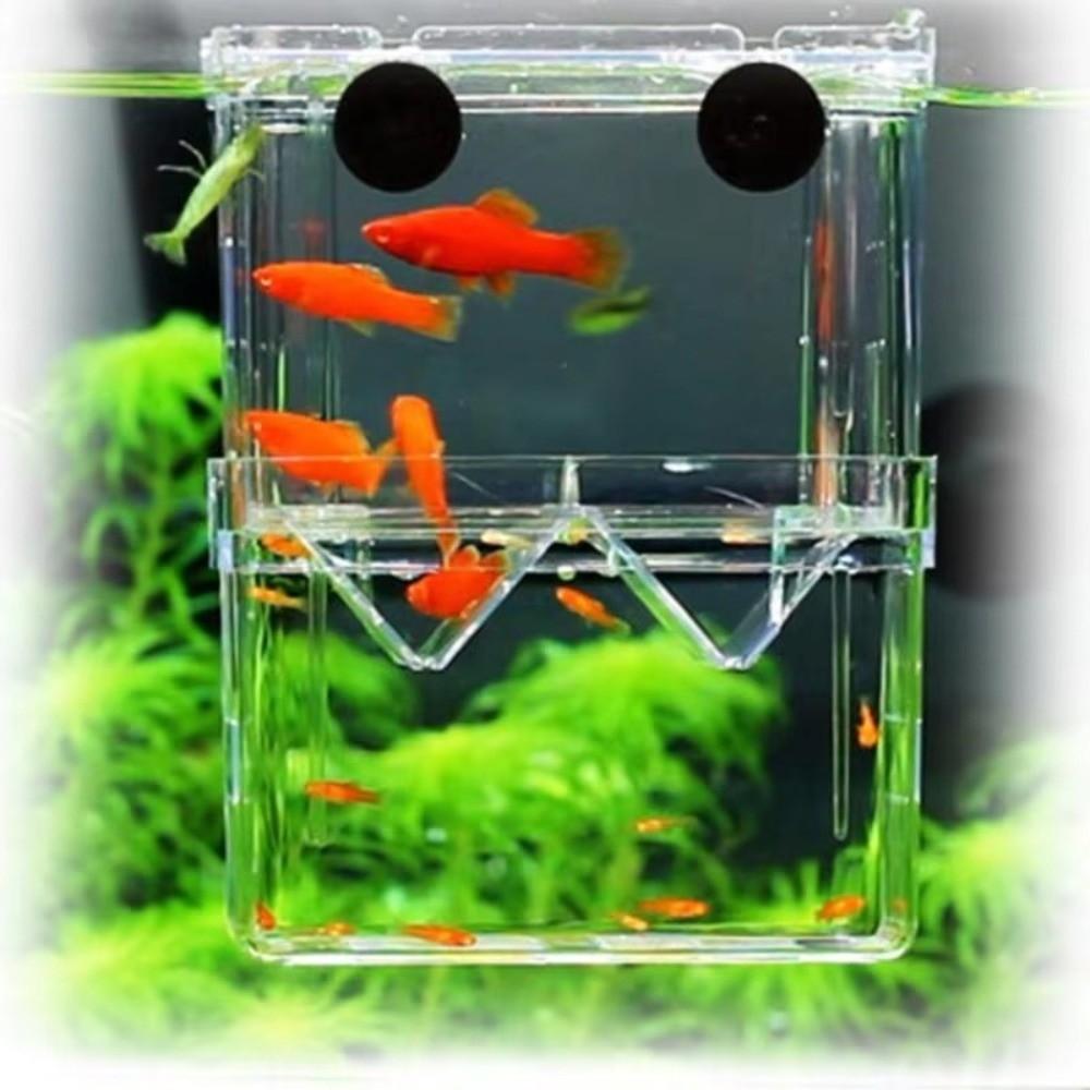 Transparent Fish Breeding Box Isolation Fish Isolation Box New Aquarium Breeder Box Fish Tank Use