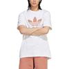 adidas Мужская футболка Originals Белая IA4818