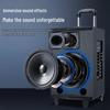 Huidu T-08B Professional Portable Live Broadcast Speaker