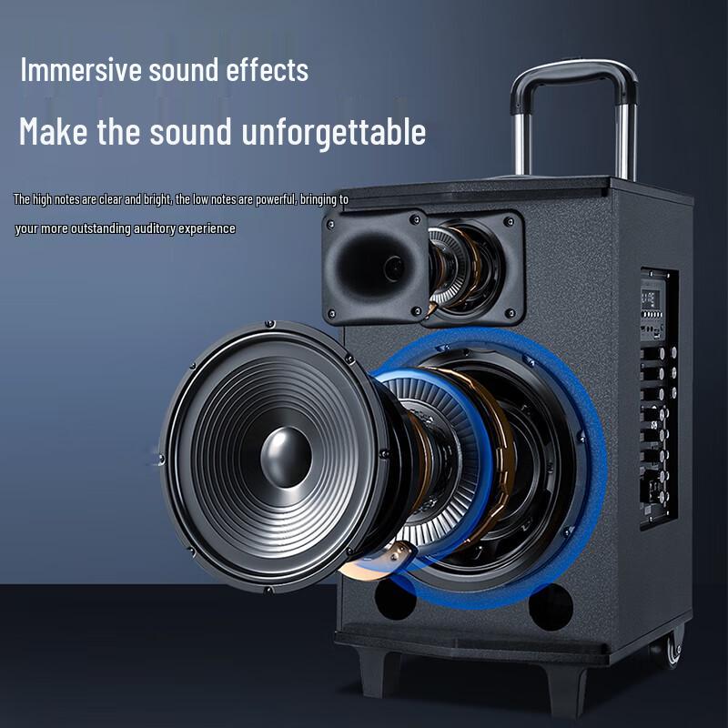 Huidu T-08B Professional Portable Live Broadcast Speaker