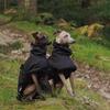 Fashion Raincoat for Airless terrier Soft Puppy Clothes Warm Waterproof Coat for Italian Greyhound Whippet Dog Jacket