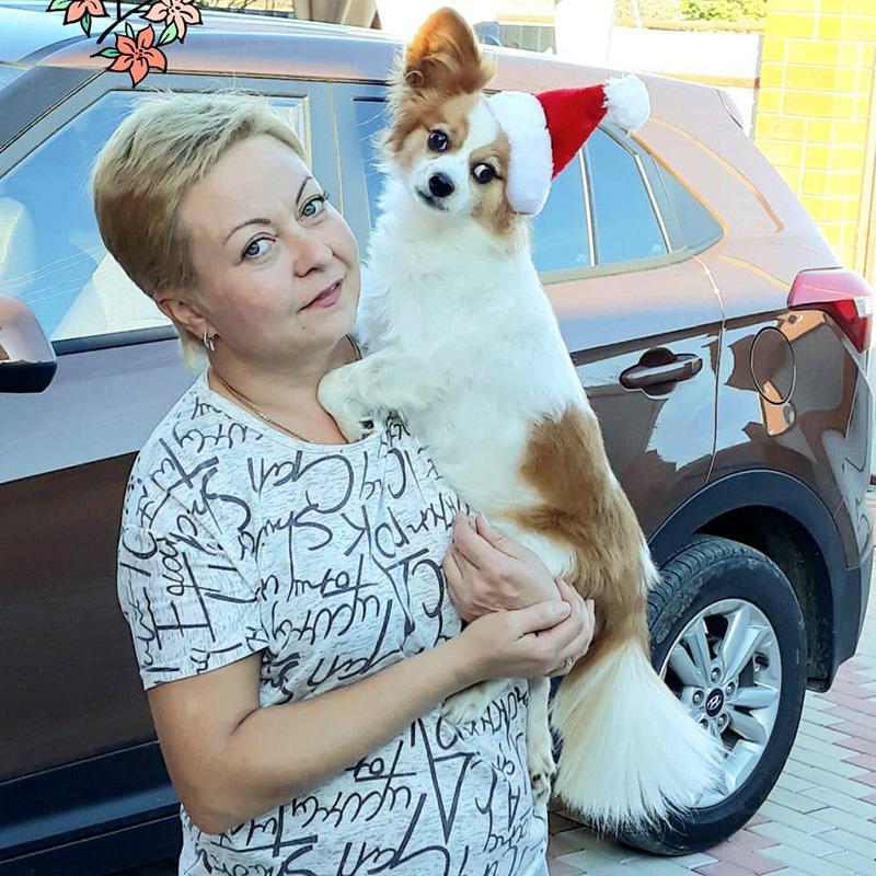 Pet Xmas Santa Hat Cat Dog Hat Plush Santa Hat Christmas Decoration Happy New Year Gift