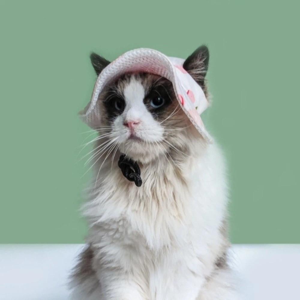 Cute Fruits Plants Dog Fisherman Hat Strawberry Lemons Breathable Pet Cat Sun Hat Comfortable Adjustable Dog Sunscreen Hat