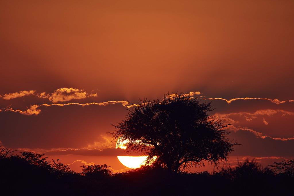 Супертелеобъектив с зумом TAMRON SP Di VC USD G2 для Nikon, совместимый с полноразмерным объективом A022N 150-600 мм F5-6.3