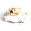 Pastry Dough DIY Kitchen Under the Sea Ocean Creatures Biscuit Mold Baking Tools Cookie Cutter