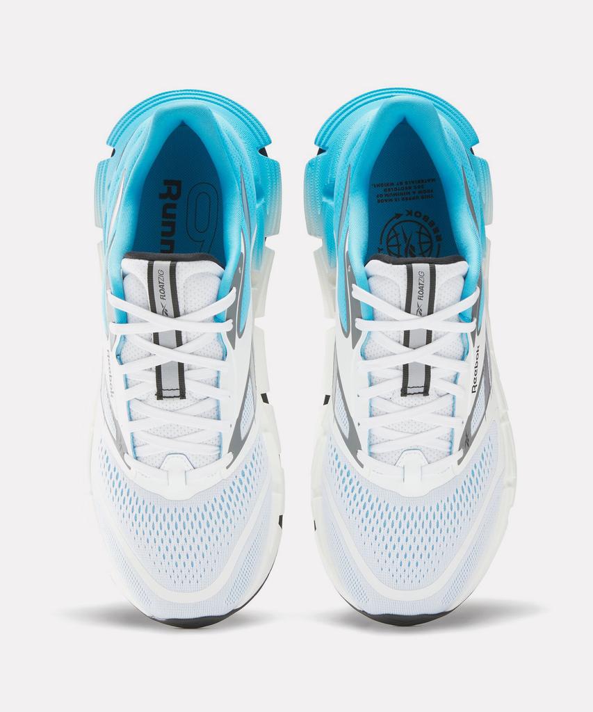 Reebok Float Zig 2 - Blue:White / 100225500