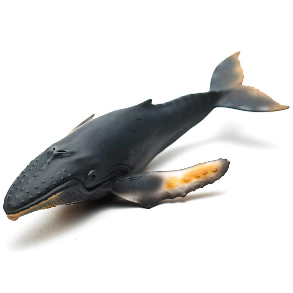 CollectA Humpback Whale Figure 88347