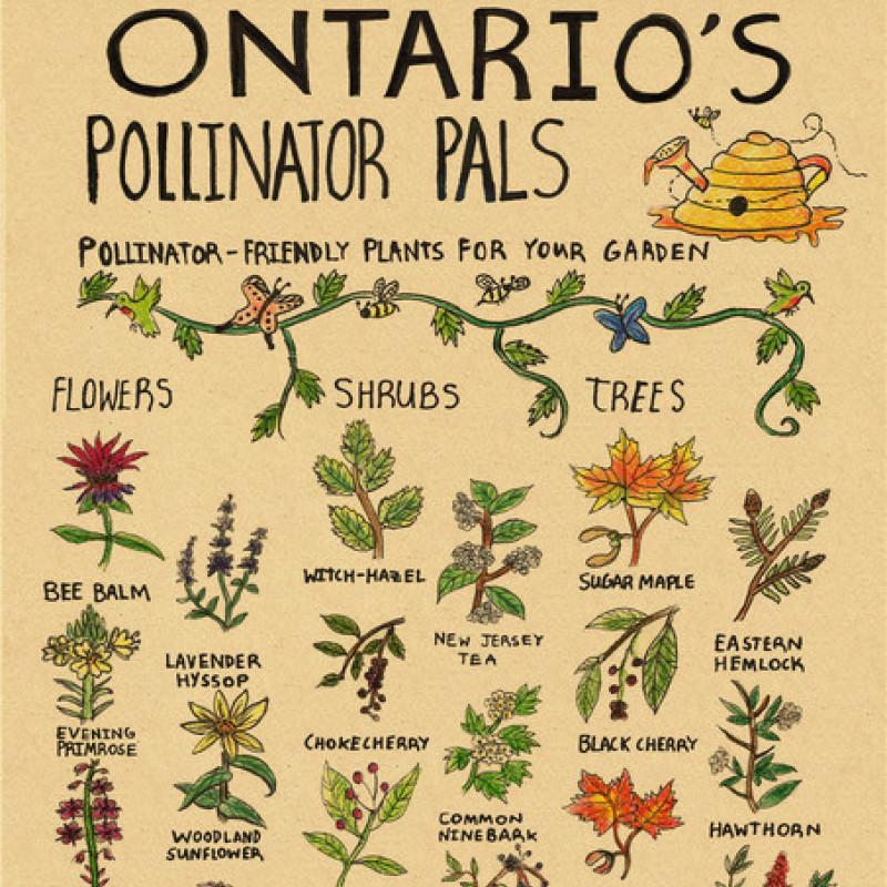 Плакат с принтом кита, винтажный домашний декор для спальни, фреска