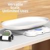 Tare Function Electronic Weight Scale LCD Backlight Kitchen Scale Portable Digital Scale  Kitchen