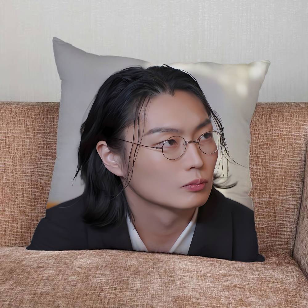 R-Roh J-Jae Won Наволочка Для Домашней Спальни Автомобиля Офиса Декора Гостиной Подушка-Подушка Дивана Подходящая