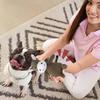 Squeaky Dog Toys Dog Chew Toys Squeaky Toys Interactive Dog Toys