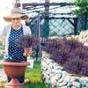 5PCS 7 Heads Artificial Lavender Wheat Ear Lavender Bouquet Realistic Bridal Bouquet  Home Decor