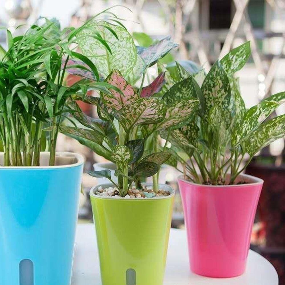 Automatic Living Room Decor Gardening Flower Pots Plastic Soil Cultivation Small Pot Desktop