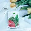 BIO Matcha Powder – Pure Organic Ceremonial Green Tea (Camellia sinensis) – 70 g