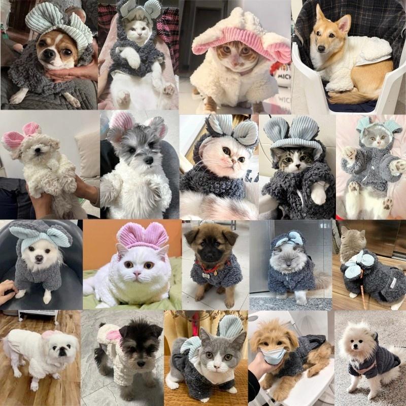 Luxury Dog Hoodies Jacket Winter Warm Dog Clothes for Small Dogs Thickened Puppy Overcoat Cute Soft Cat Jacket Coat Pet Costumes