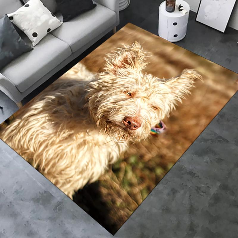 1pc Xia Si Dog,Charlie the Dog King Office Carpet Soft Polyester Entrance Carpet Washable Non slip M