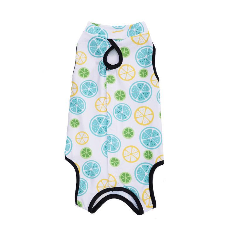 Pet Surgery Recovery Clothing: Cat & Dog Apparel for All Seasons