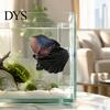 Peixes e animais aquáticos – Decoração de aquário