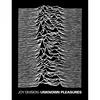 Joy Division Unknown Pleasures Sherpa Fleece Blanket