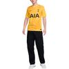 Nike Тоттенхэм Хотспур 2024/25 Стадионный Вратарский Мужской Футболка Replica Nike Dri FIT для Футбола с Коротким Рукавом FN8804-720