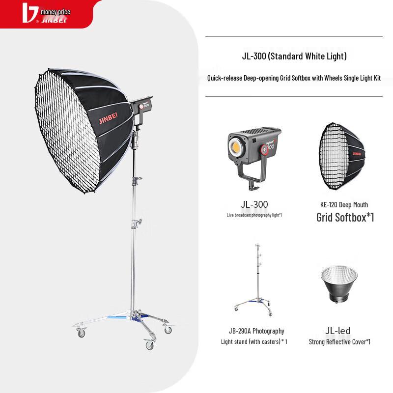 JINBEI JL300 LED Video Light