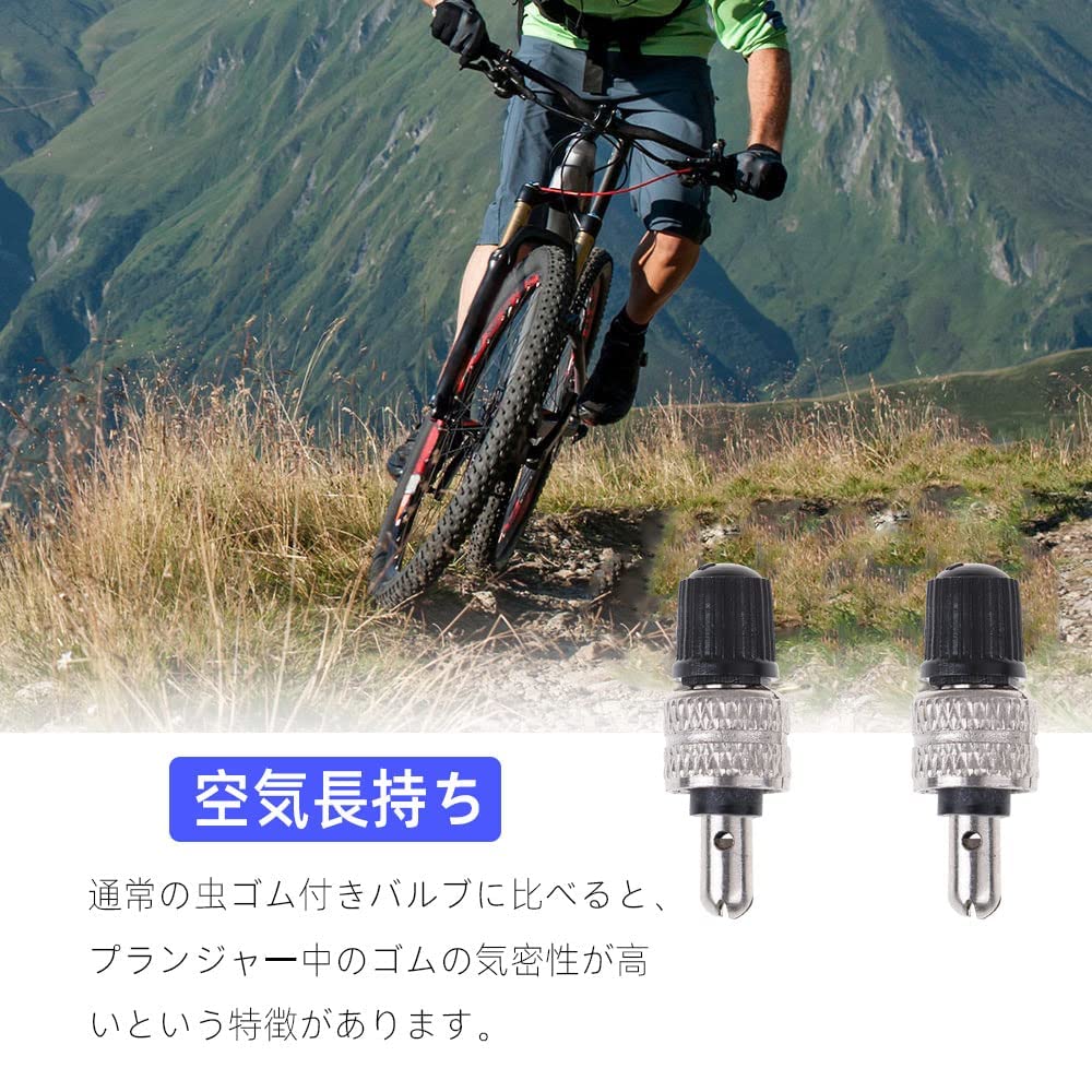 Bicycle Valve, English Style Super Valve, Set of 20, No