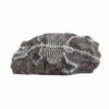 Aquarium Dinosaur Reliquiae Decoration Reptile Resin Dinosaur Reliquiae Rock Hideout for Fish Tank Aquarium