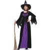 L Halloween Adult Witch Masquerade Cosplay Costume Purple Dress