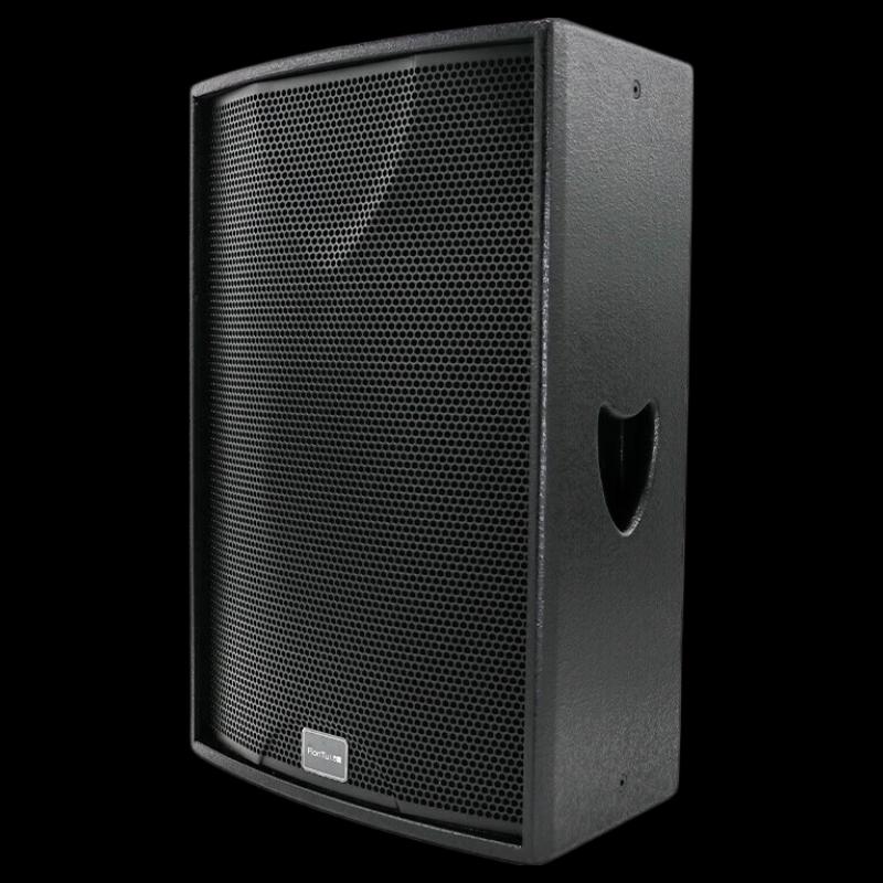 FionTu JP-Q10M 10-inch Full-Range Speaker (CN version)