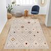 Washable Printed Carpet LNA1013