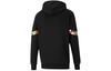 PUMA INTLGAME Sweatshirts Men's Black Hooded Moderate Regular 531330-01