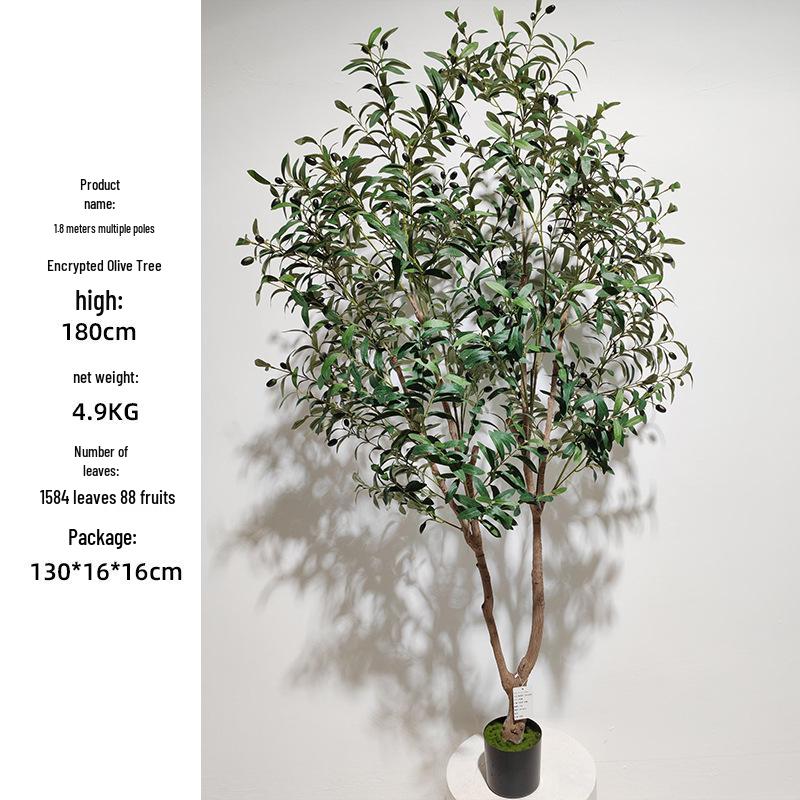 Olive Tree Potted Plant - Indoor Decor Simulation for Living Room
